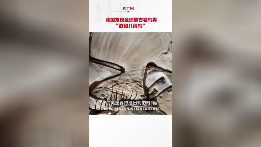 俄乌冲突3年离和平还有多远,澳门天天彩历史开奖记录查询,最新核心解答落实_探索版V12.41