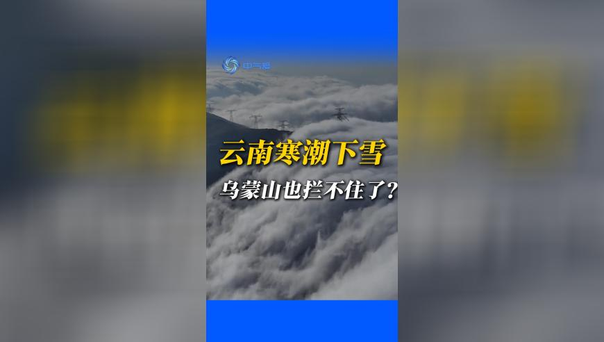 2025澳门管家婆一肖一码精准,克宫：乌东五个地区领土不容谈判,展开计划实施_黄金版V9.11