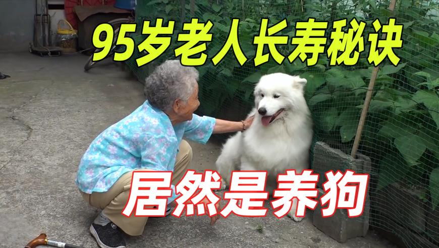 摇钱树心水资料提供黄大仙,教师唐某某被采取刑事强制措施,社会责任方案执行_HarmonyOSV10.71